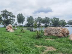 -长春市南湖公园