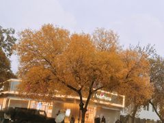 -好利来(槐中店)