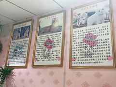 -喵百万·布偶·蓝金金渐层英短·猫舍(百子湾店)