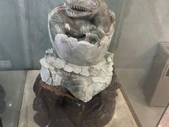 -中国西峡恐龙遗迹园