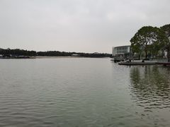 -欢乐海岸椰林沙滩-2025湾区超级灯会