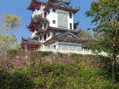 -广东花都湖国家湿地公园