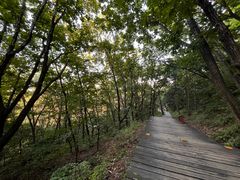 -帽儿山国家森林公园