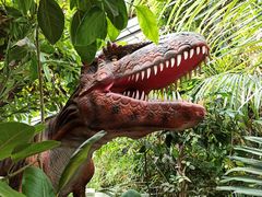 -呀路古热带植物园