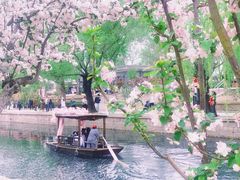 -元大都城垣遗址公园