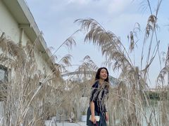 -霏梵印象公园摄影基地