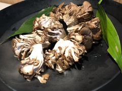 有机舞菇-煲宫猪肚鸡(晶品店)