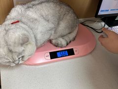 -瑞派康怡24h宠物医院·犬猫医疗中心·微创绝育(瑞景分院)