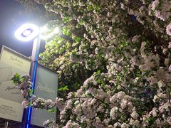 -天津水游城丽筠酒店