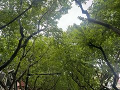 -一尺花园(安和花园店)