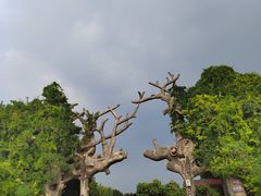 -禹州森林植物园