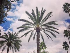 -马洛雷勒花园