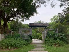 -番禺大夫山森林公园