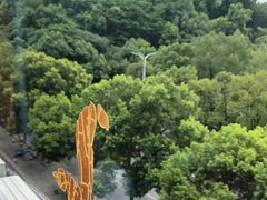 -浔庐餐厅•江西老字号•九江菜(南湖国际店)