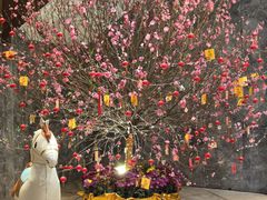 -金满楼(天河中路店)