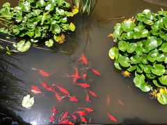 -聚缘堂·海鲜私房菜(松岭路店)