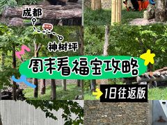 -卧龙中华大熊猫苑神树坪基地