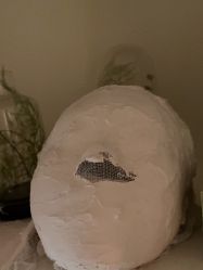 -LUNA皮相美·骨相美高级美感