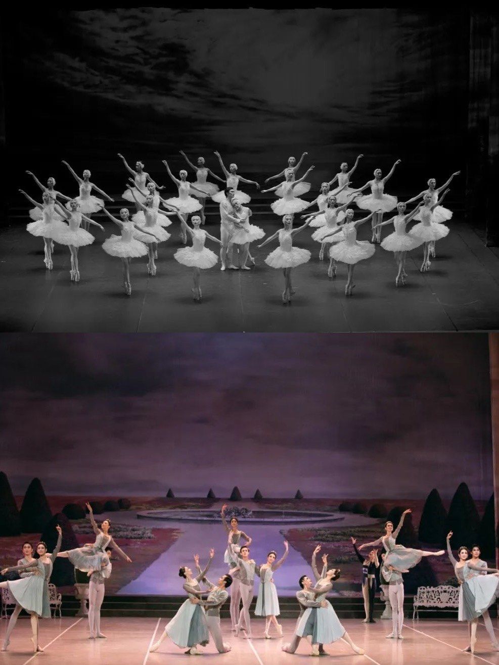 经典中的经典芭蕾舞剧《天鹅湖》也是被我看到了