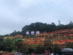 -枇杷园食为鲜火锅(南山店)