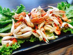 -ISLAND MASS岛·精酿吧