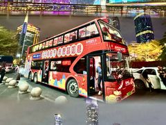 -广州都市观光巴士(粤陶巴)
