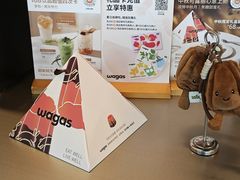 -Wagas沃歌斯(北京君太百货店)