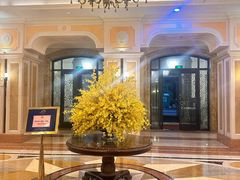 -平湖九龙山庄园圣马可酒店