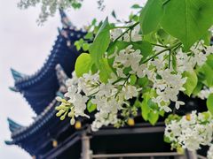 -西安化觉巷清真大寺