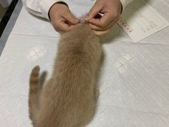 -派特宠物医院(圆融广场店)