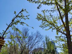 -长白岛森林公园