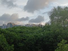 -霞山观海长廊