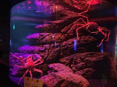 -暹罗海洋世界