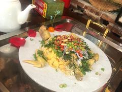 -食德喜·阳山鸡王食研基地
