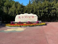 -莲花池公园