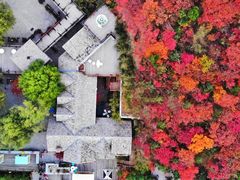 -九如山休闲旅游度假区