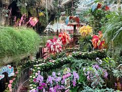 -正佳雨林生态植物园
