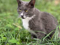 -宫事颐庭·老佛爷贵寿下午茶(颐和园店)