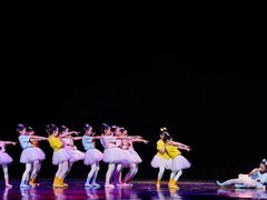 -西安小天鹅艺术团(曲江Alice店)