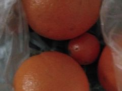 橙子-家辉生鲜超市(东五路店)