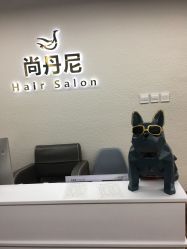 -尚丹尼造型