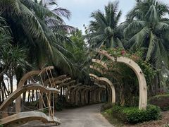 -海南清水湾莱佛士酒店