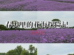 -上海杨姆庄园