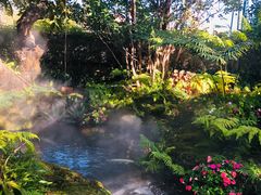 -Chom Cafe and Restaurant