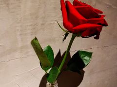 -新沙洞咖啡(泉乐坊店)