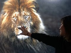 -罗红摄影艺术馆