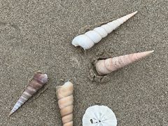 -万尾金滩