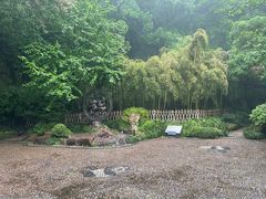-杭州黄龙洞