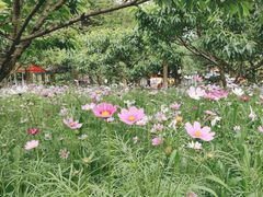 -渌洋湖湿地公园