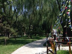 -南宫温泉水世界